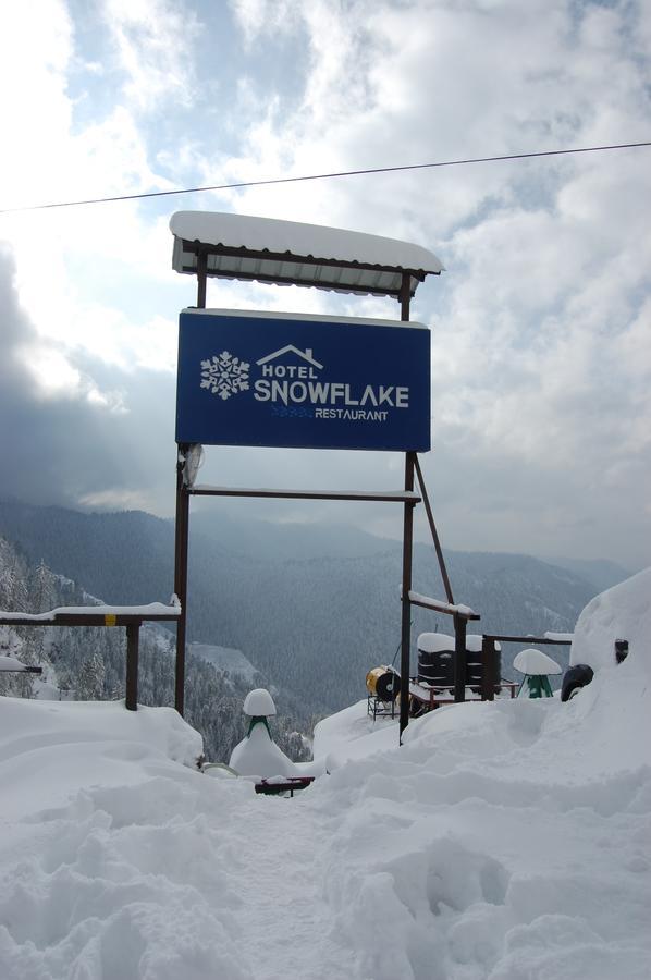 Hotel Snowflake Nārkanda Exterior foto